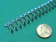 stagno.jpg (8254 byte)